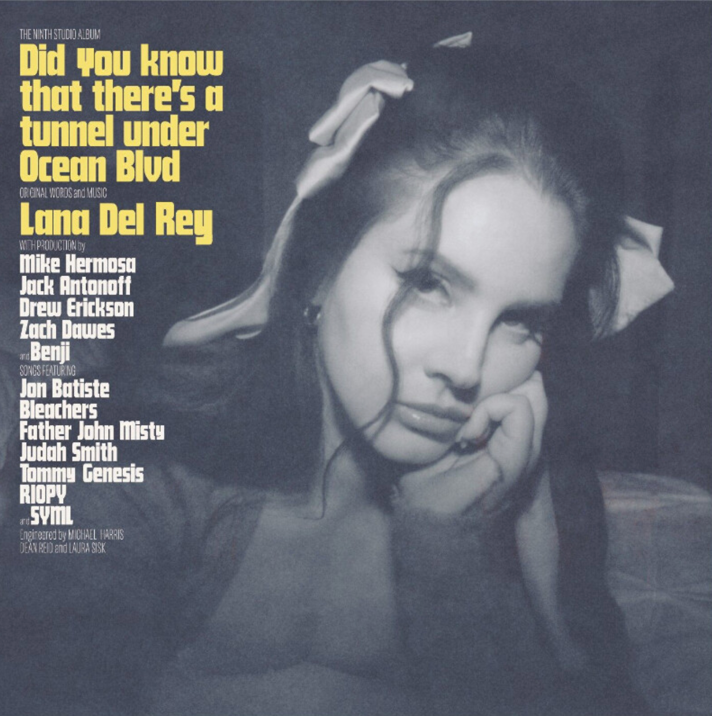 拉娜·德蕾 Lana Del Rey – 《你知道海洋大道下面有一条隧道吗》Did You Know That There’s a Tunnel Under Ocean Blvd (China Edition, Black 2LP, May 2025 Release) + Free Mitt Vinyl Sleeves (Limited 100 Orders)