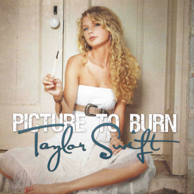 Picture To Burn