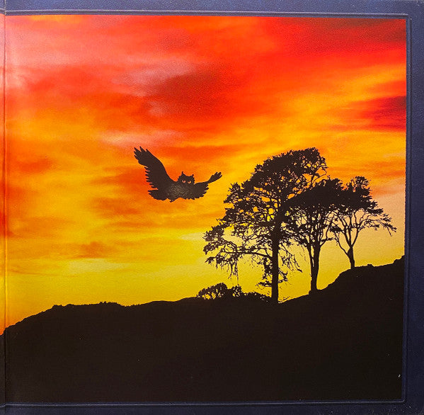 Ryan Adams & The Cardinals : Cold Roses (2xLP, Album, RE, 180)