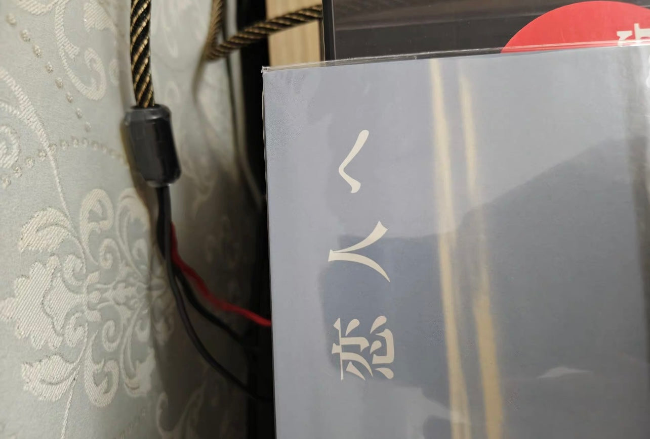 Lamp_Koibitoe_JapanLtd_BlackVinyl_2025_BotanicalHouse