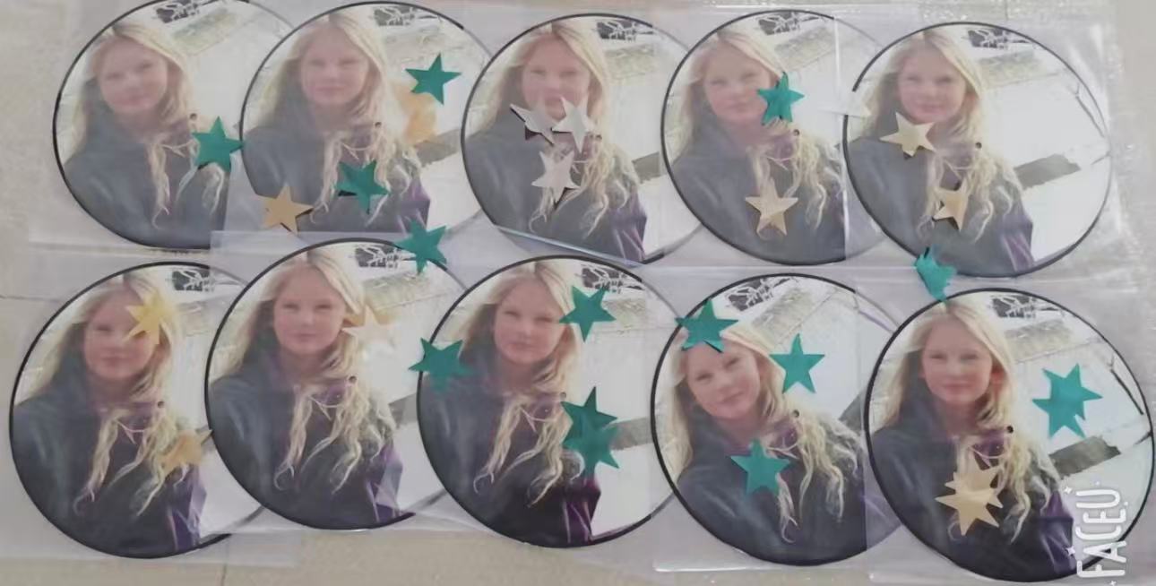 Taylor Swift – Holiday Picture Disc Vinyl Set | Sealed LP Collection