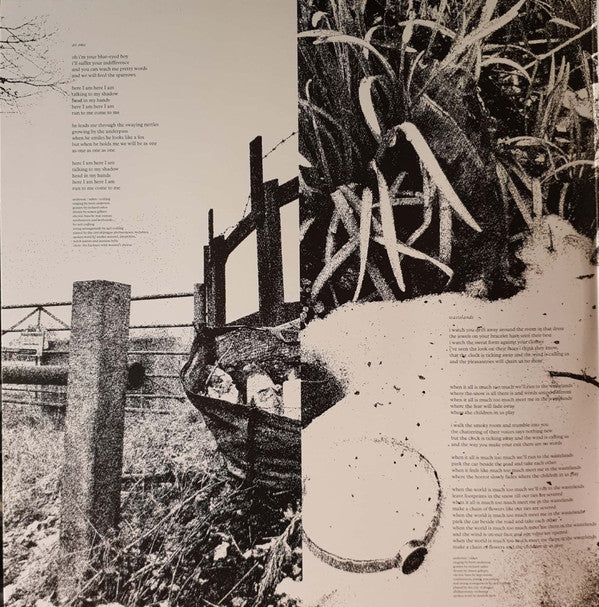 Suede : The Blue Hour (2xLP, Album, Gat)