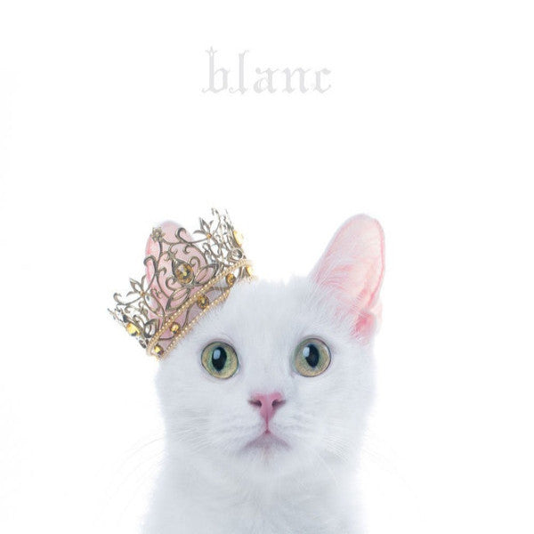 Aimer : Best Selection ~Blanc~ (CD, Comp)
