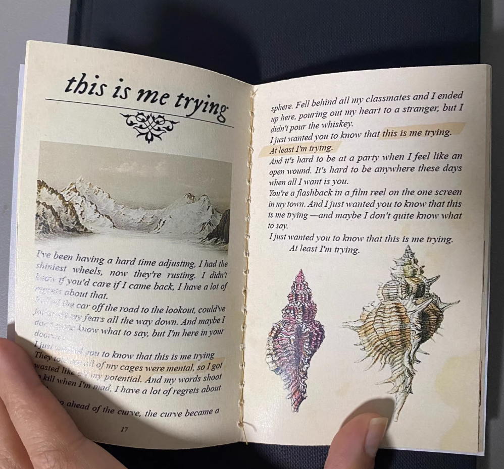 Taylor Swift - folklore &amp; evermore Lyric Book Set (Mini folklore Version)