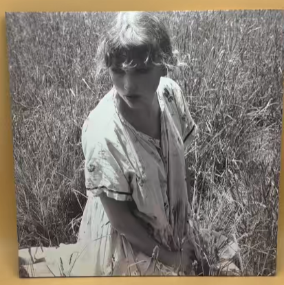 Taylor Swift - Folklore (2xLP, Album, Dlx, Ltd, Lav)EU