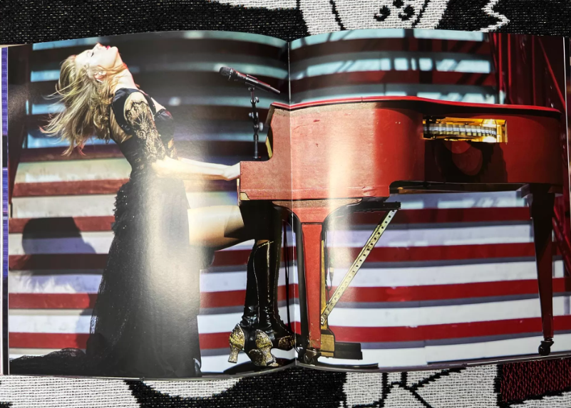 Taylor Swift – Unofficial Biography Art Book / Fan Illustration Collection Hardcover