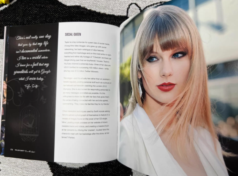 Taylor Swift – Unofficial Biography Art Book / Fan Illustration Collection Hardcover