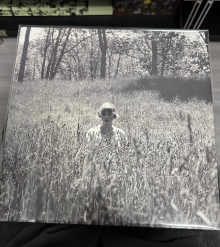Taylor Swift - Folklore US/France Pressing Clear Blue Vinyl 2LP