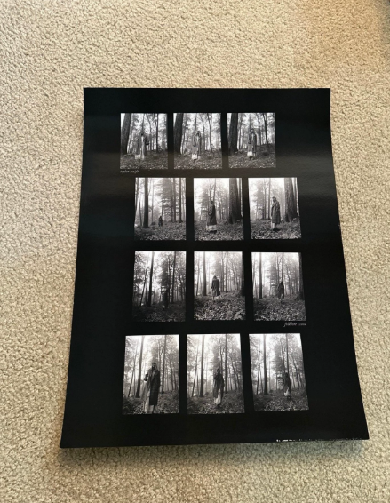 Taylor Swift - Folklore "In The Trees" Official Lithograph Print