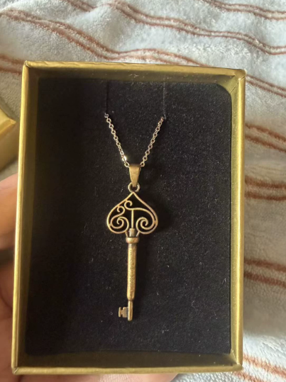 Taylor Swift Fearless Key + 1989 Seagull Necklaces Set, VG+