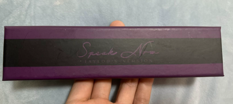 Taylor Swift - Speak Now TV Official Charm Bracelet, NM Brand New