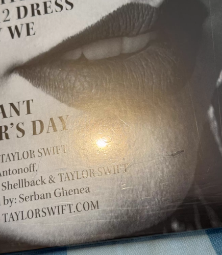 Taylor Swift – Reputation Picture Disc Vinyl 2LP