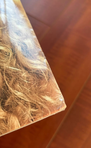 Taylor Swift – Taylor Swift US 2016 Vinyl LP