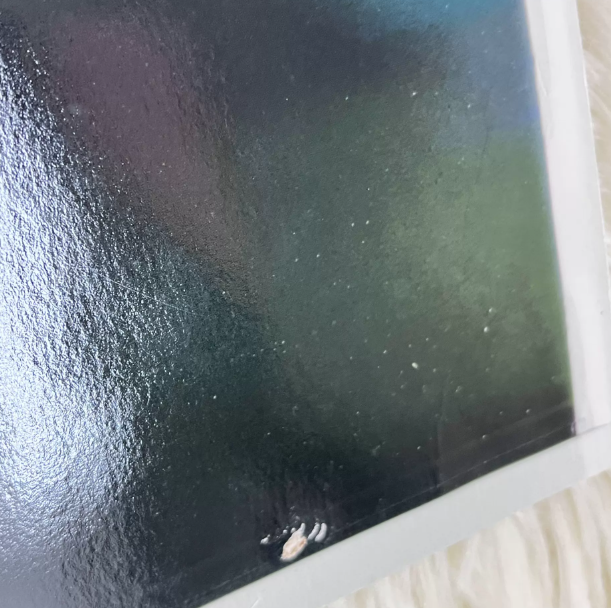 Taylor Swift – 1989 Polaroid-Style Large Poster