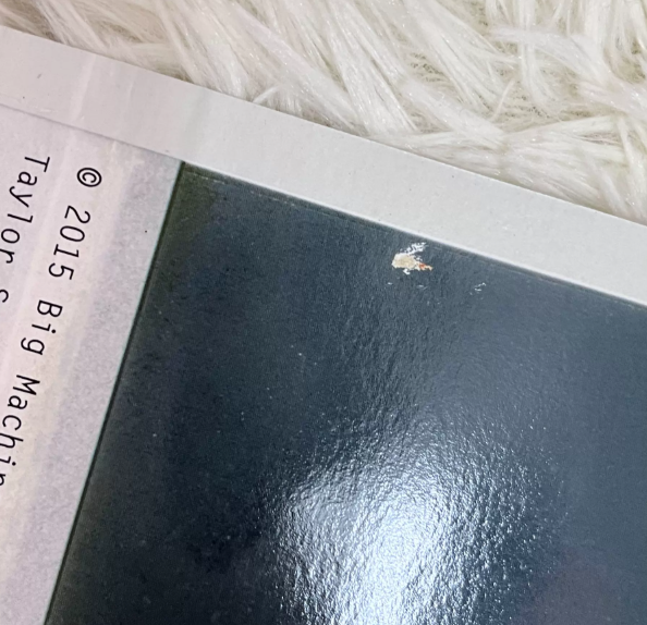 Taylor Swift – 1989 Polaroid-Style Large Poster