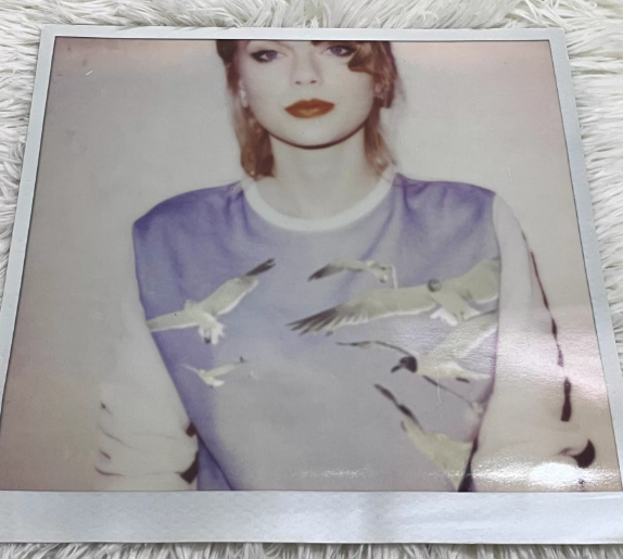 Taylor Swift – 1989 Polaroid-Style Large Poster