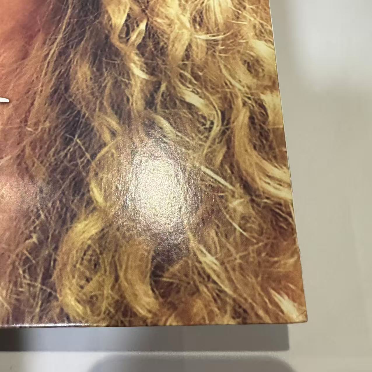 Taylor Swift - Taylor Swift (2xLP, Album, RE)