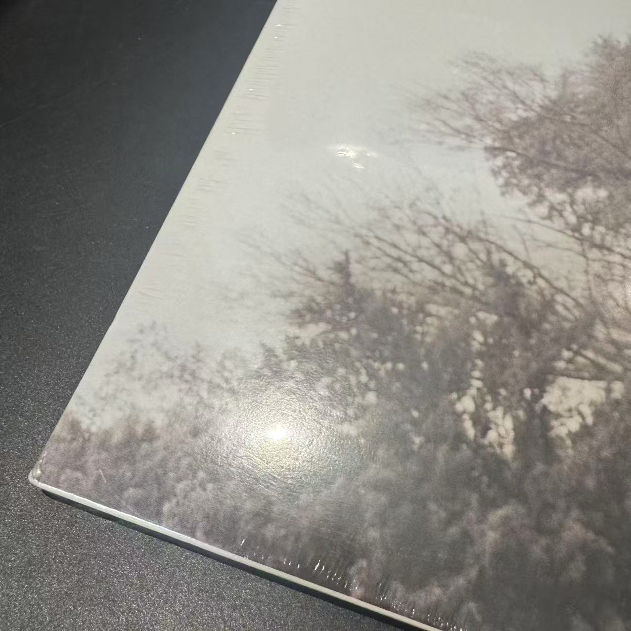 Taylor Swift - Folklore (2xLP, Album, Dlx, Ltd, Sil) (M/VG+)