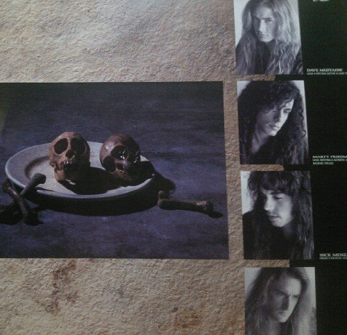 Megadeth : Countdown To Extinction (LP, Album)