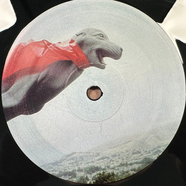Skratchy Seal : Super Seal Breaks (12")