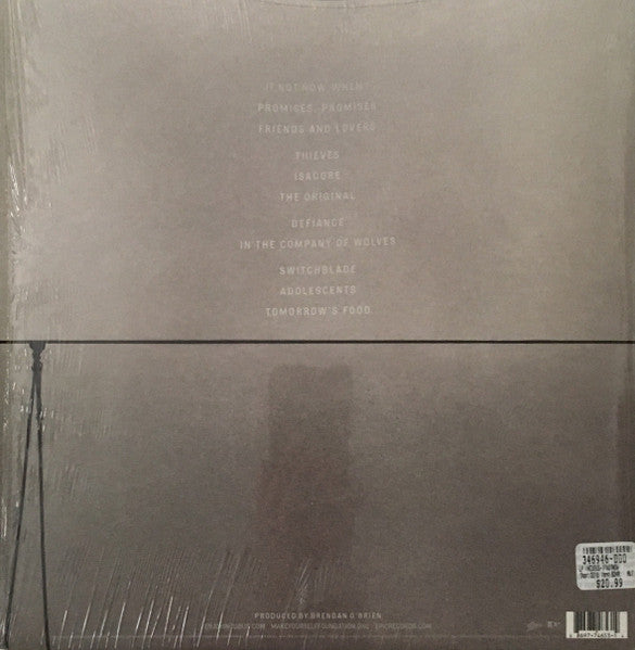 Incubus (2) : If Not Now, When? (2xLP, Album)