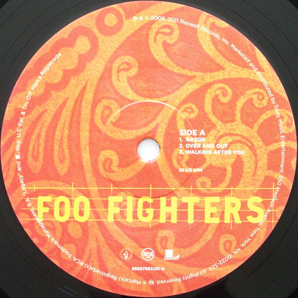 Foo Fighters : Skin And Bones (2xLP, Album, RE)