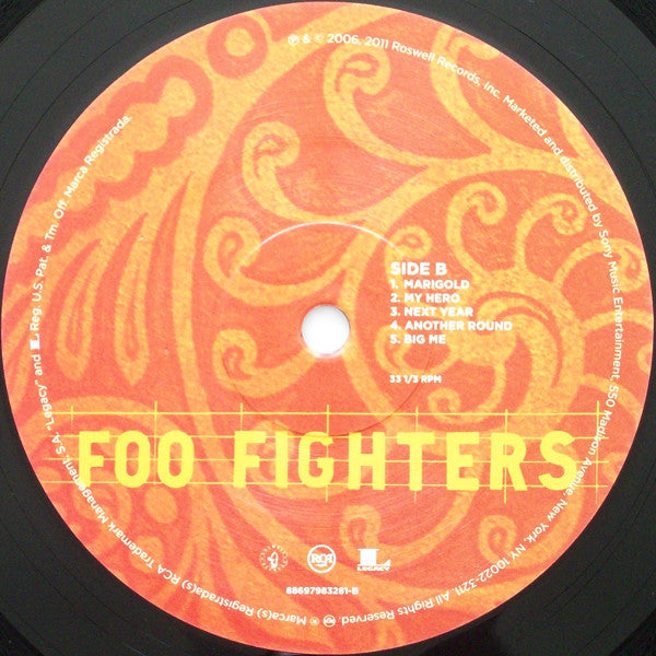 Foo Fighters : Skin And Bones (2xLP, Album, RE)