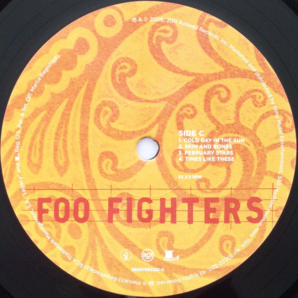 Foo Fighters : Skin And Bones (2xLP, Album, RE)