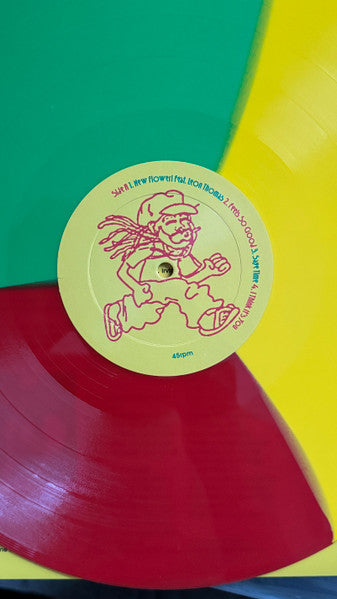 Aminé : 13 Months Of Sunshine (2xLP, S/Edition, Tri)