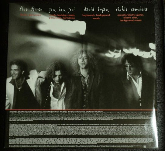 Bon Jovi : These Days (2xLP, Album)