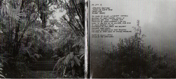 No Joy : More Faithful (CD, Album)