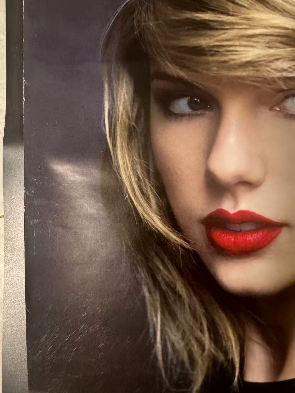 Taylor Swift 1989 Album Official Poster Deluxe Standard Version Art
