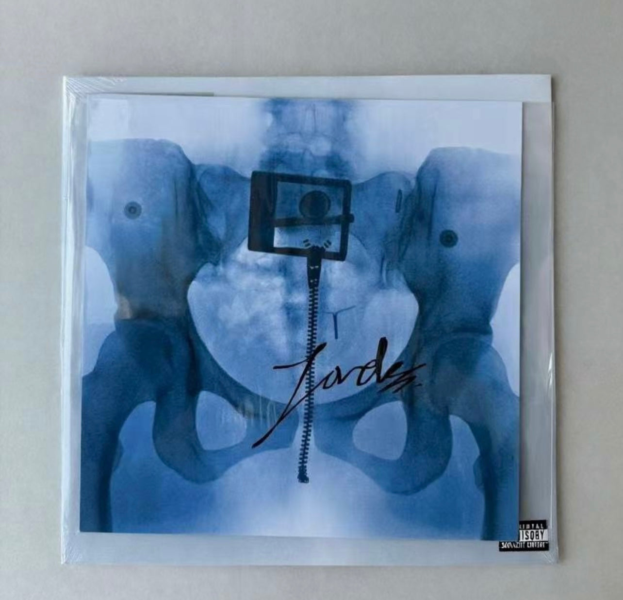 Lorde *L4* Signed Picture Disc Vinyl + Autograph Card (UK Webstore Exclusive)
