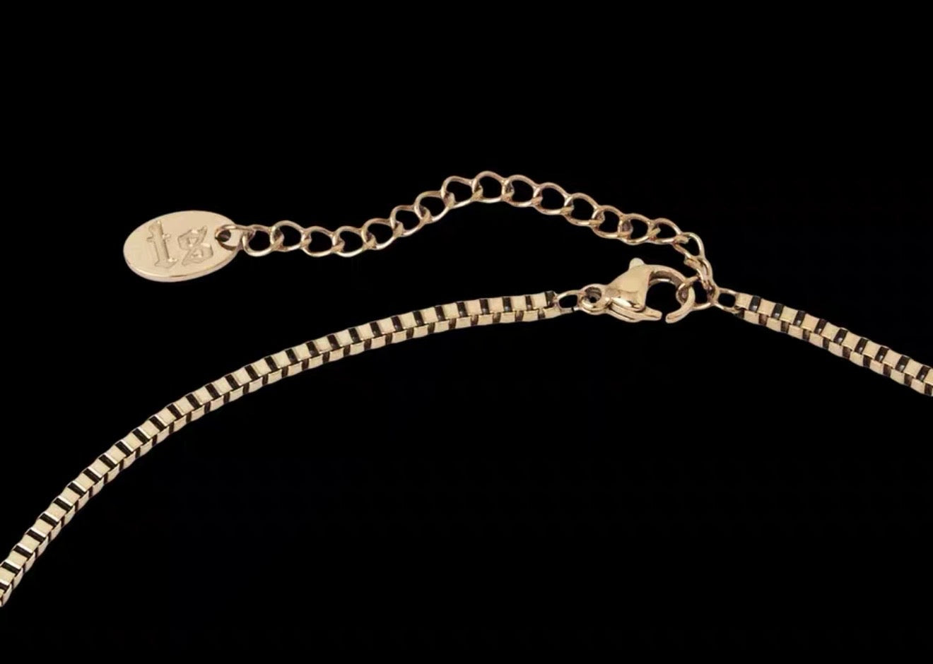 Taylor Swift Reputation Karma Snake Necklace Christmas Collectible Brand New