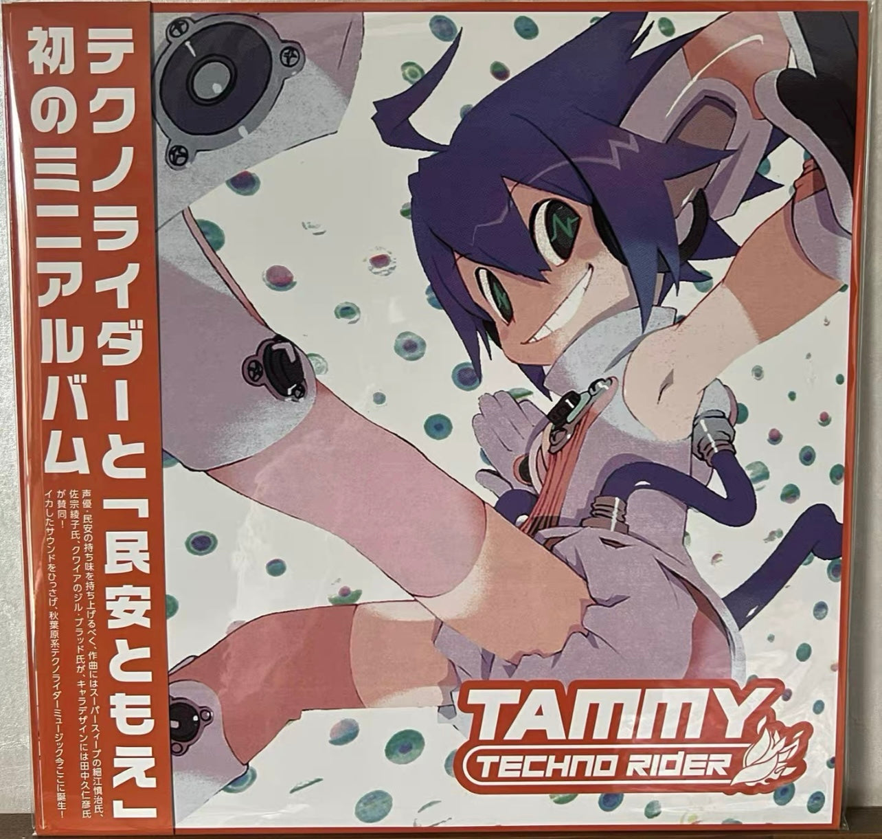 TECHNORIDER TAMMY – Technorider Tammy vinyl LP