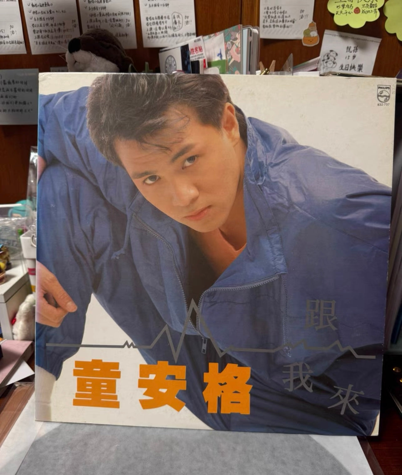 Angus Tung 4xLP Lot – *Actually You Don’t Understand My Heart*, *Miss You*, *Come with Me*, *Petal Rain* (Taiwanese 1st Pressing)