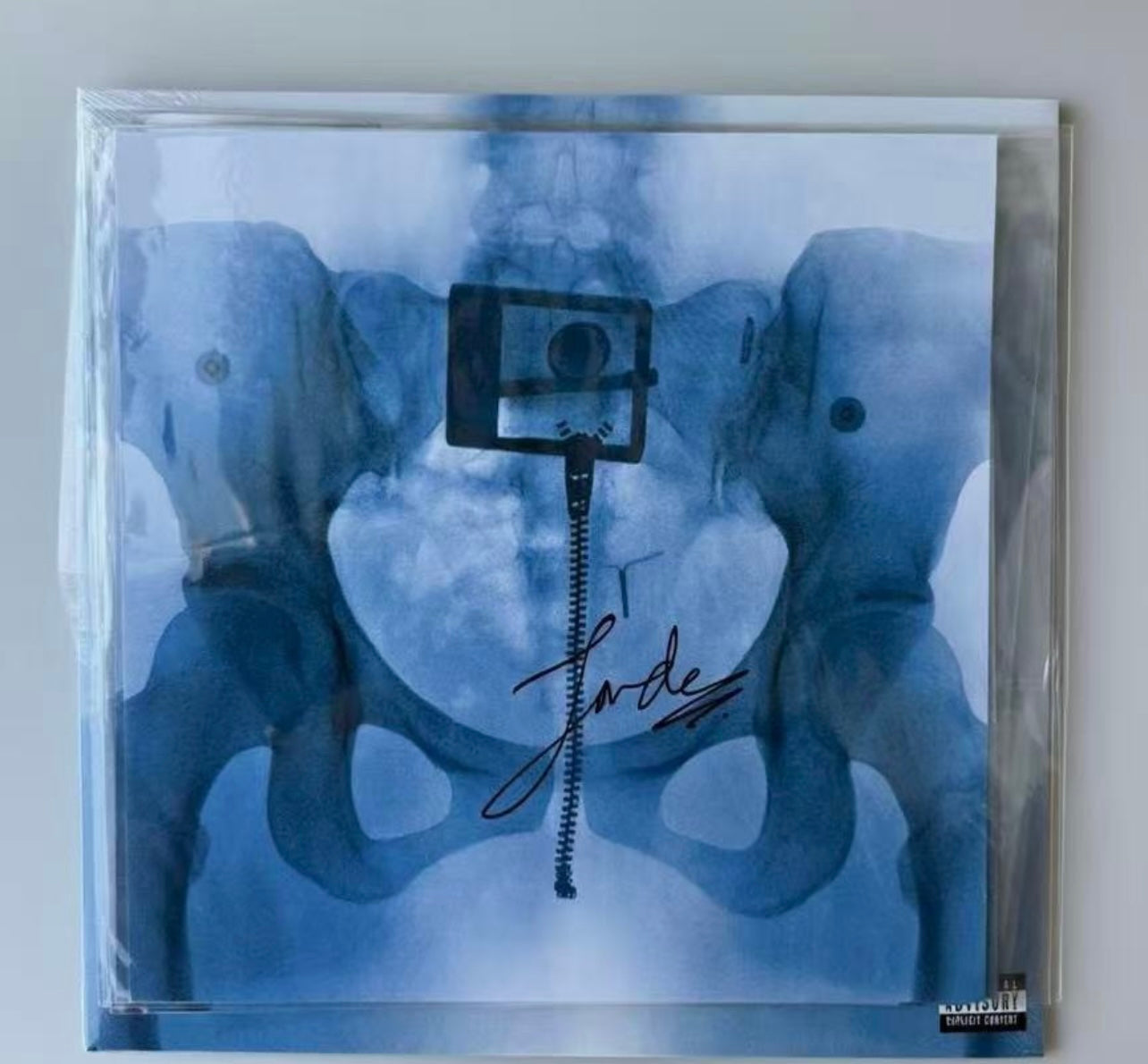 Lorde *L4* Signed Picture Disc Vinyl + Autograph Card (UK Webstore Exclusive)