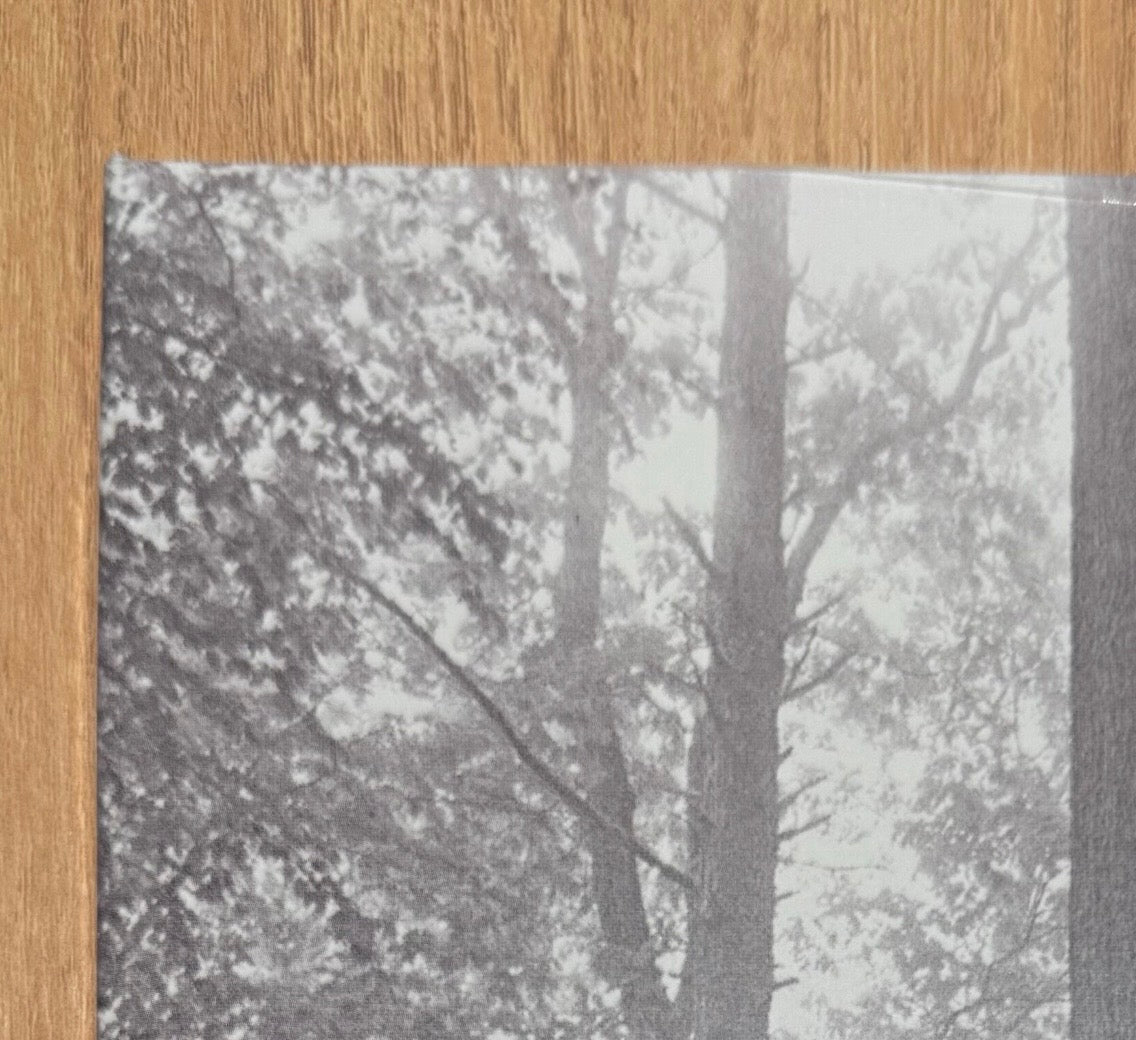Taylor Swift Folklore Clear 2LP Vinyl Sealed Read Desc