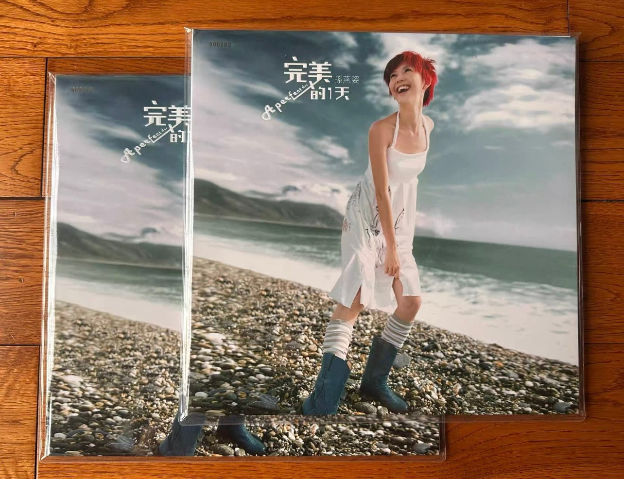 Stefanie Sun A Perfect Day mint green color vinyl LP No.224 (numbered)