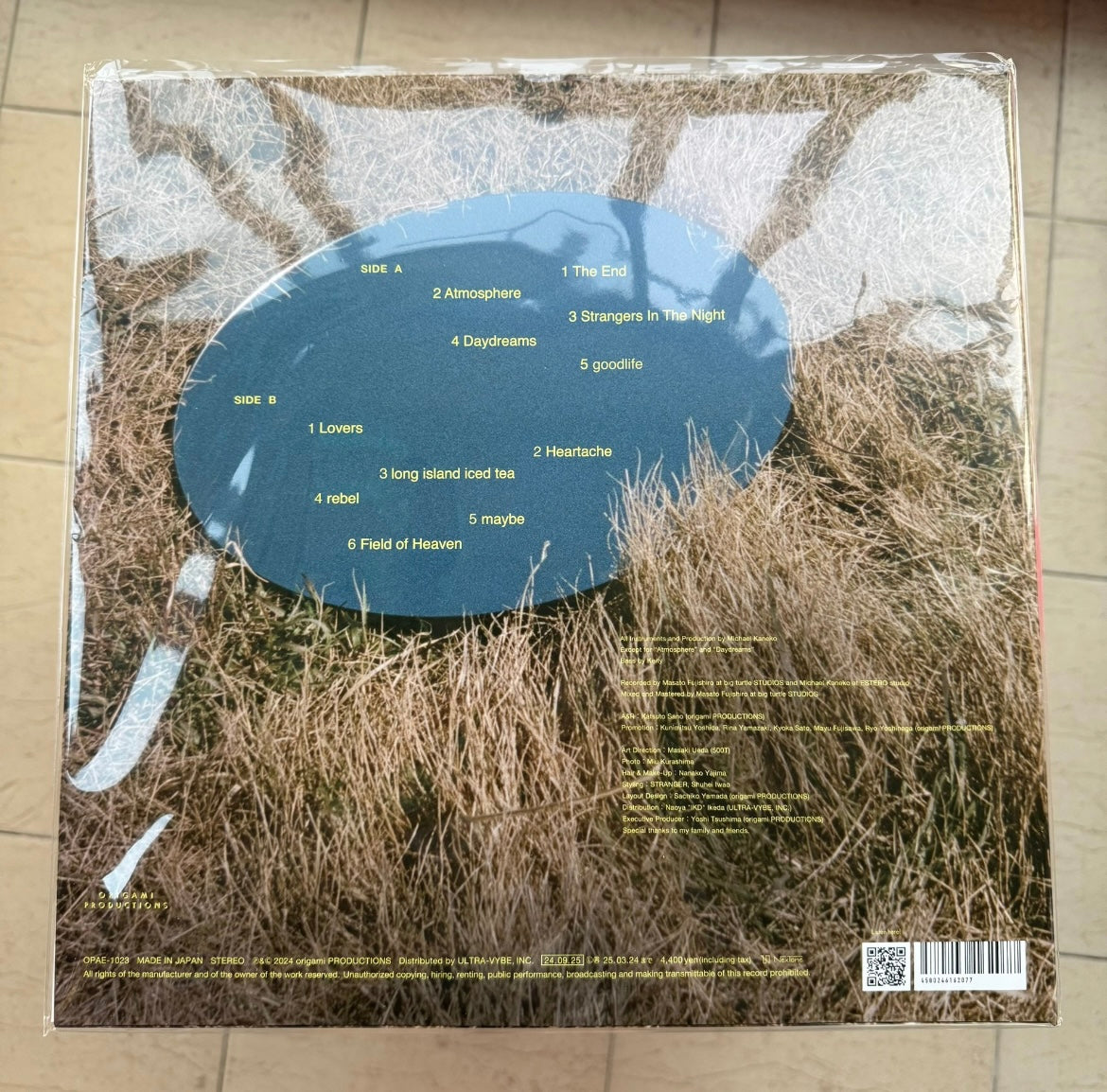 Michael Kaneko Daydreams Vinyl LP