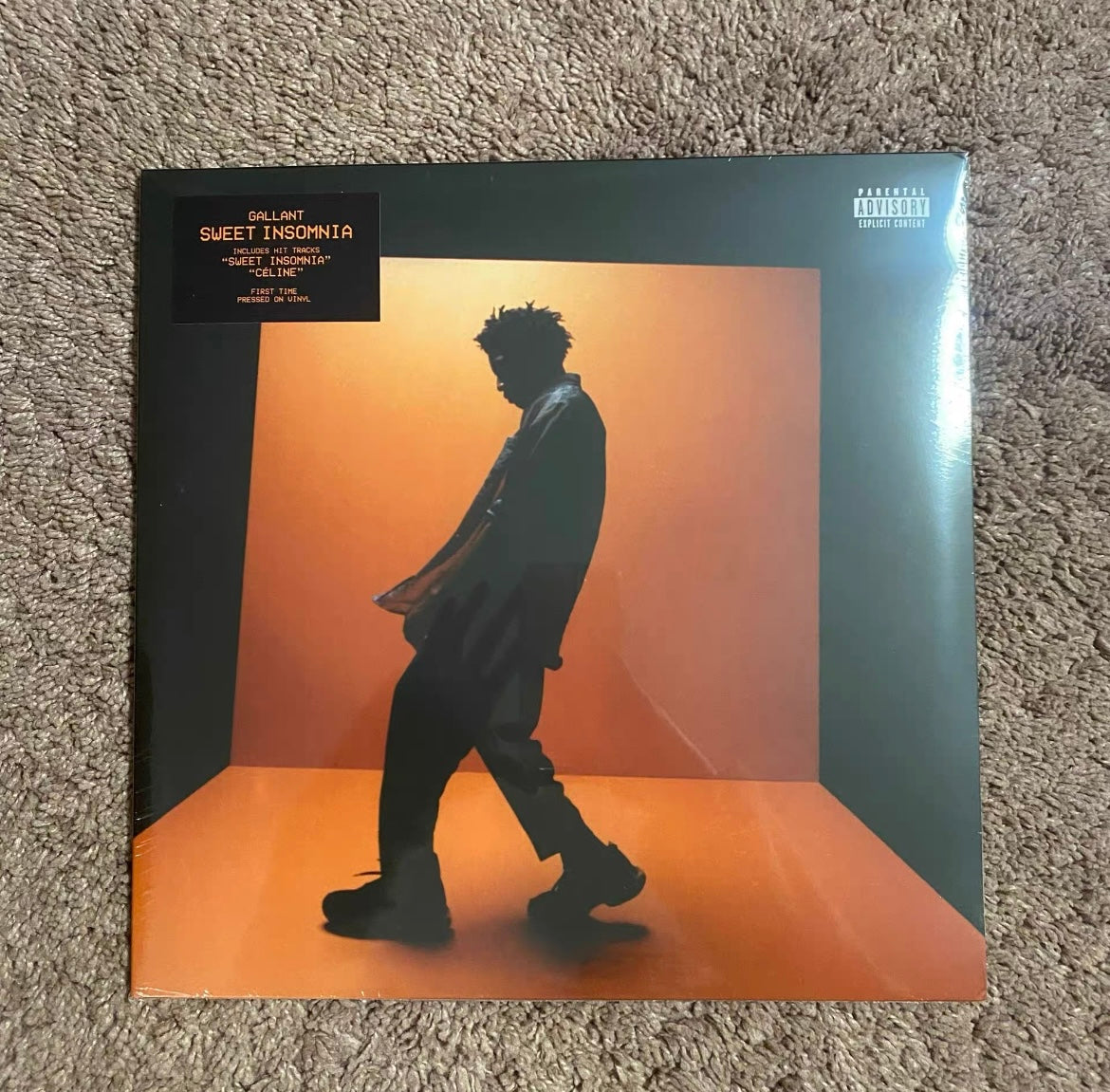 Gallant Sweet Insomnia Limited Edition Vinyl LP