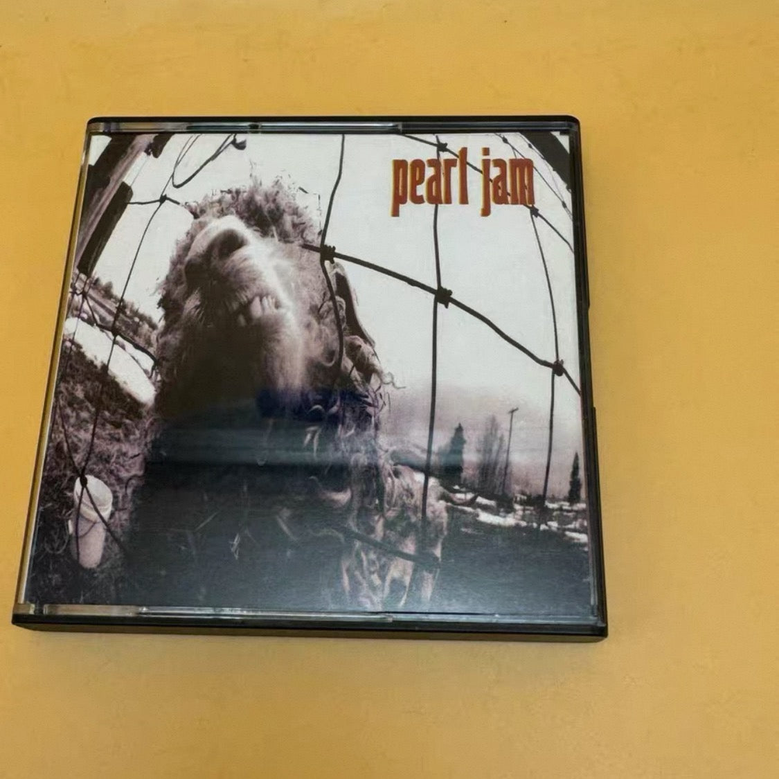 Pearl Jam ‎– Vs.