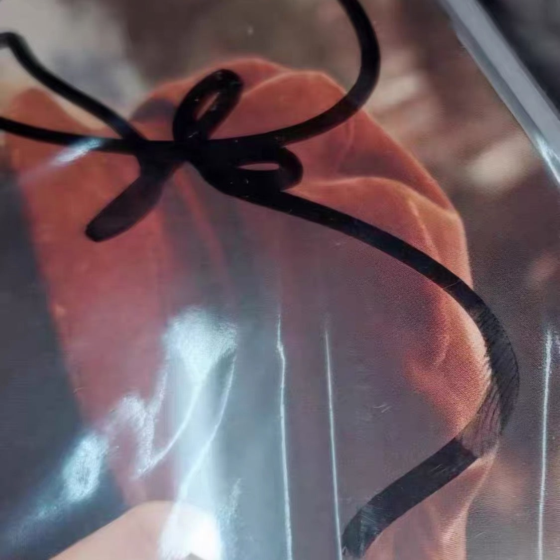 Taylor Swift Red Taylor's Version Signed CD Fingerprint Style Signature Sealed Authentic