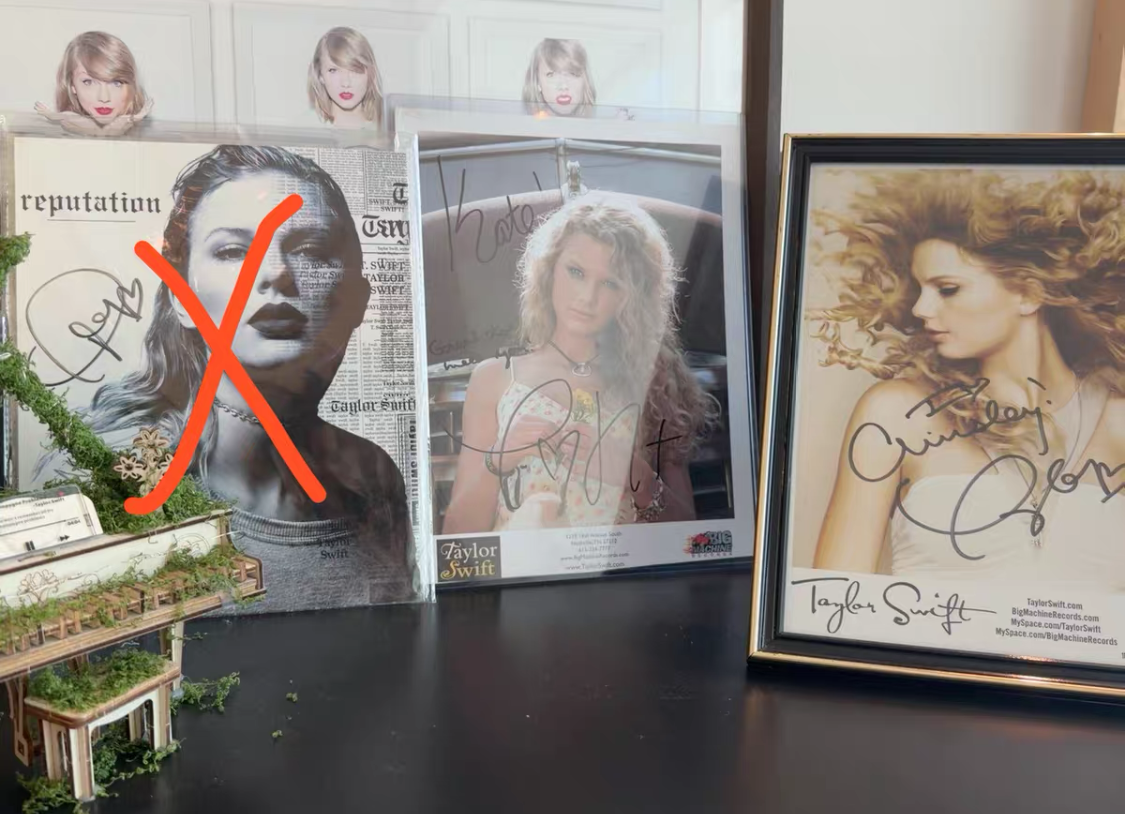 Taylor Swift Two Poster Bundle Fearless + Debut Rare Display Set