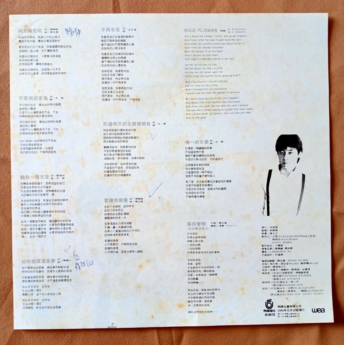 Dave Wong - 向太陽怒吼 (LP, Album) (Near Mint (NM or M-))