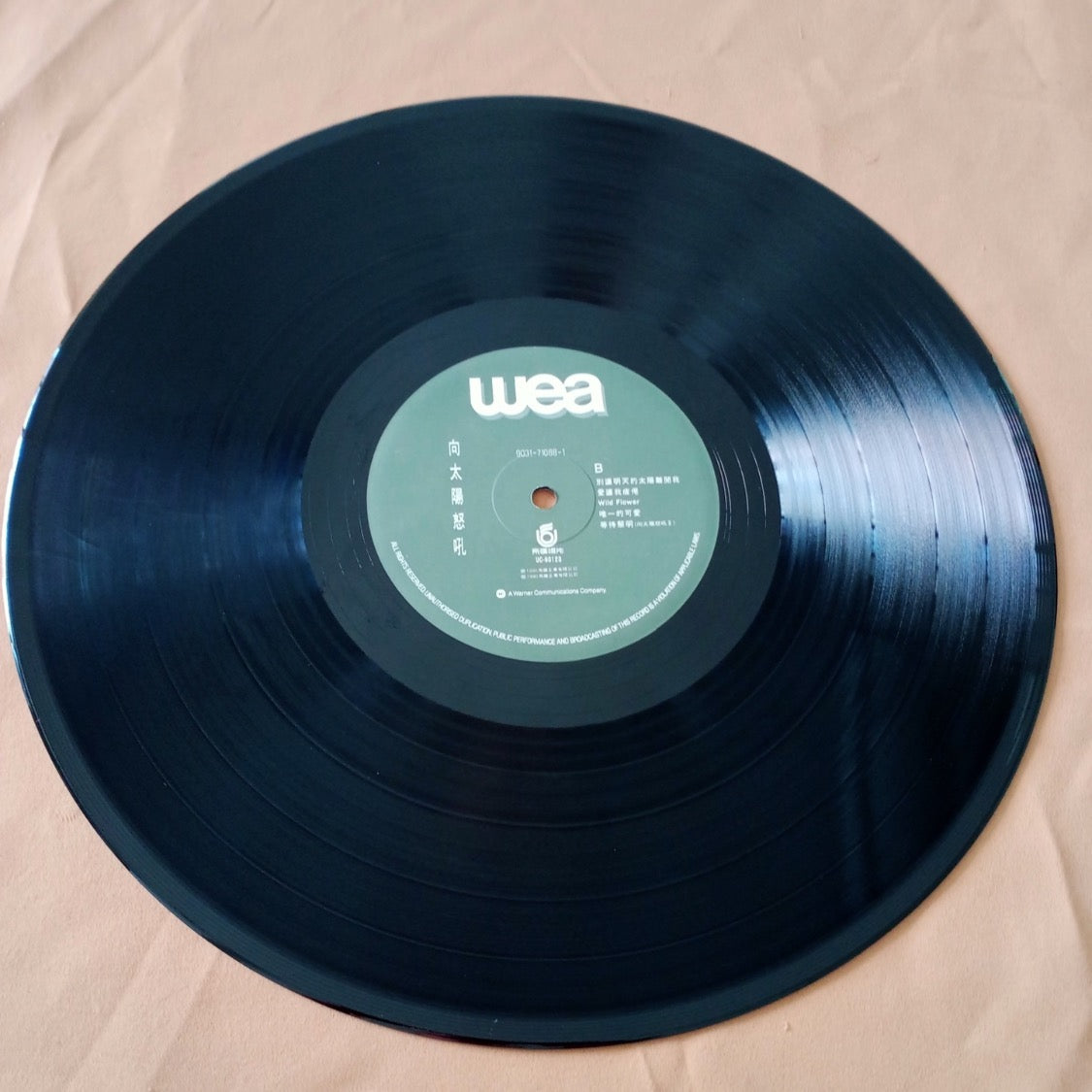 Dave Wong - 向太陽怒吼 (LP, Album) (Near Mint (NM or M-))
