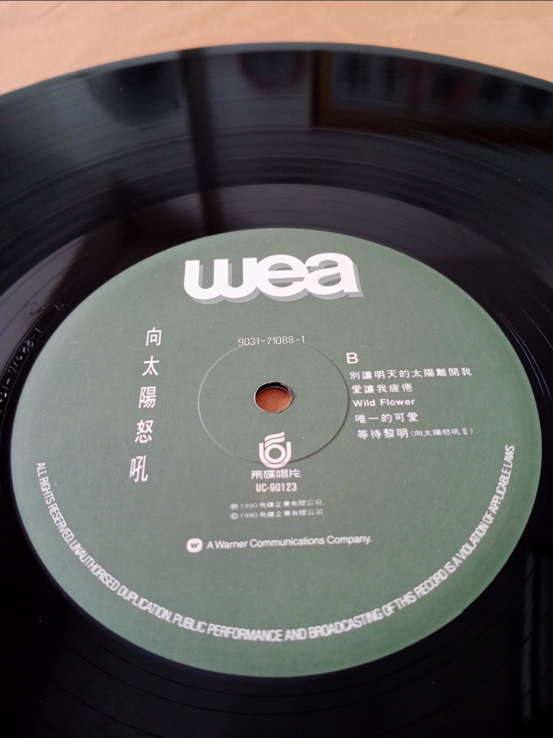 Dave Wong - 向太陽怒吼 (LP, Album) (Near Mint (NM or M-))