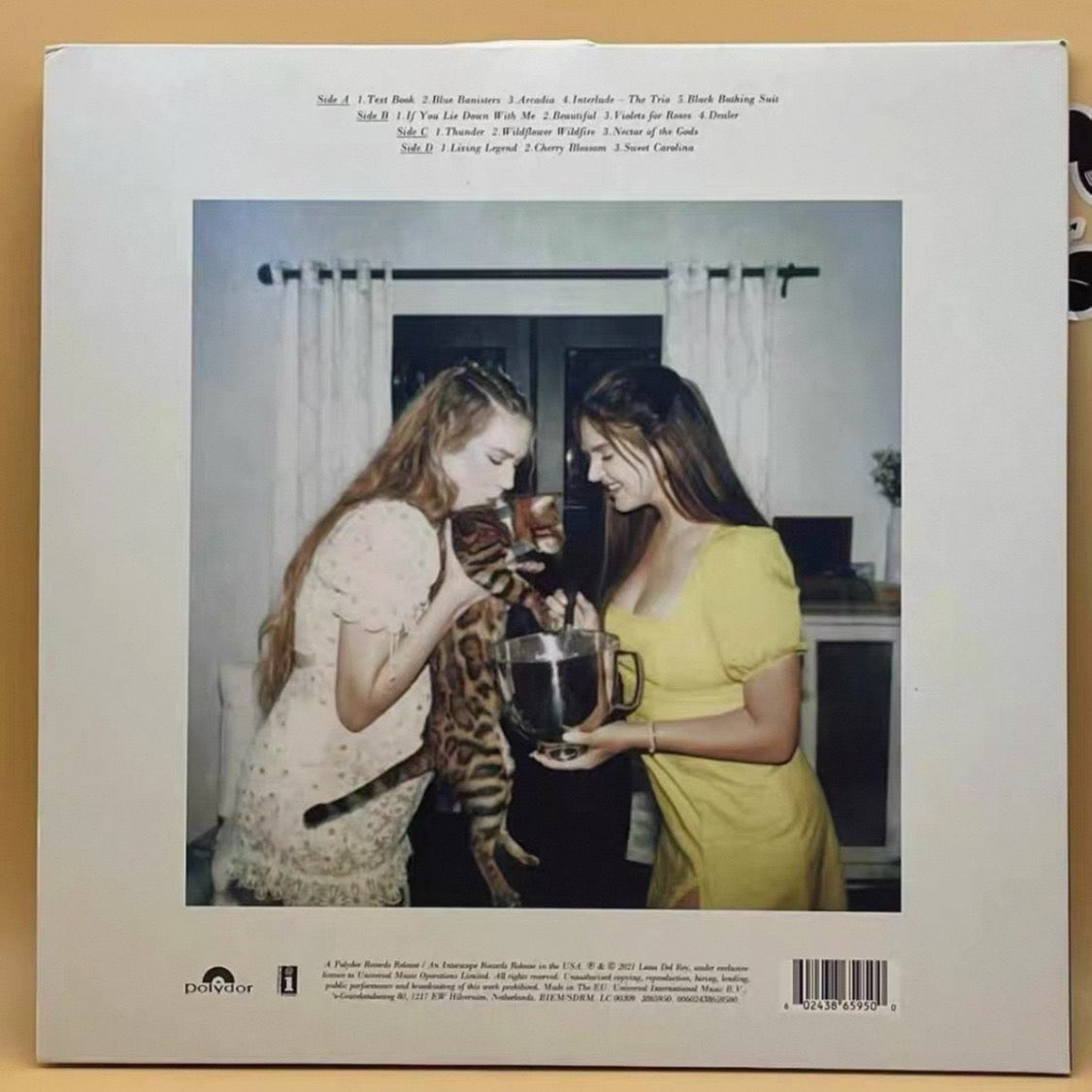Lana Del Rey - Blue Banisters (2xLP, Album, Ltd, Red)