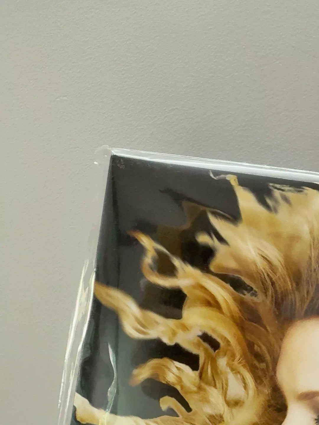 Taylor Swift – Fearless Vinyl LP