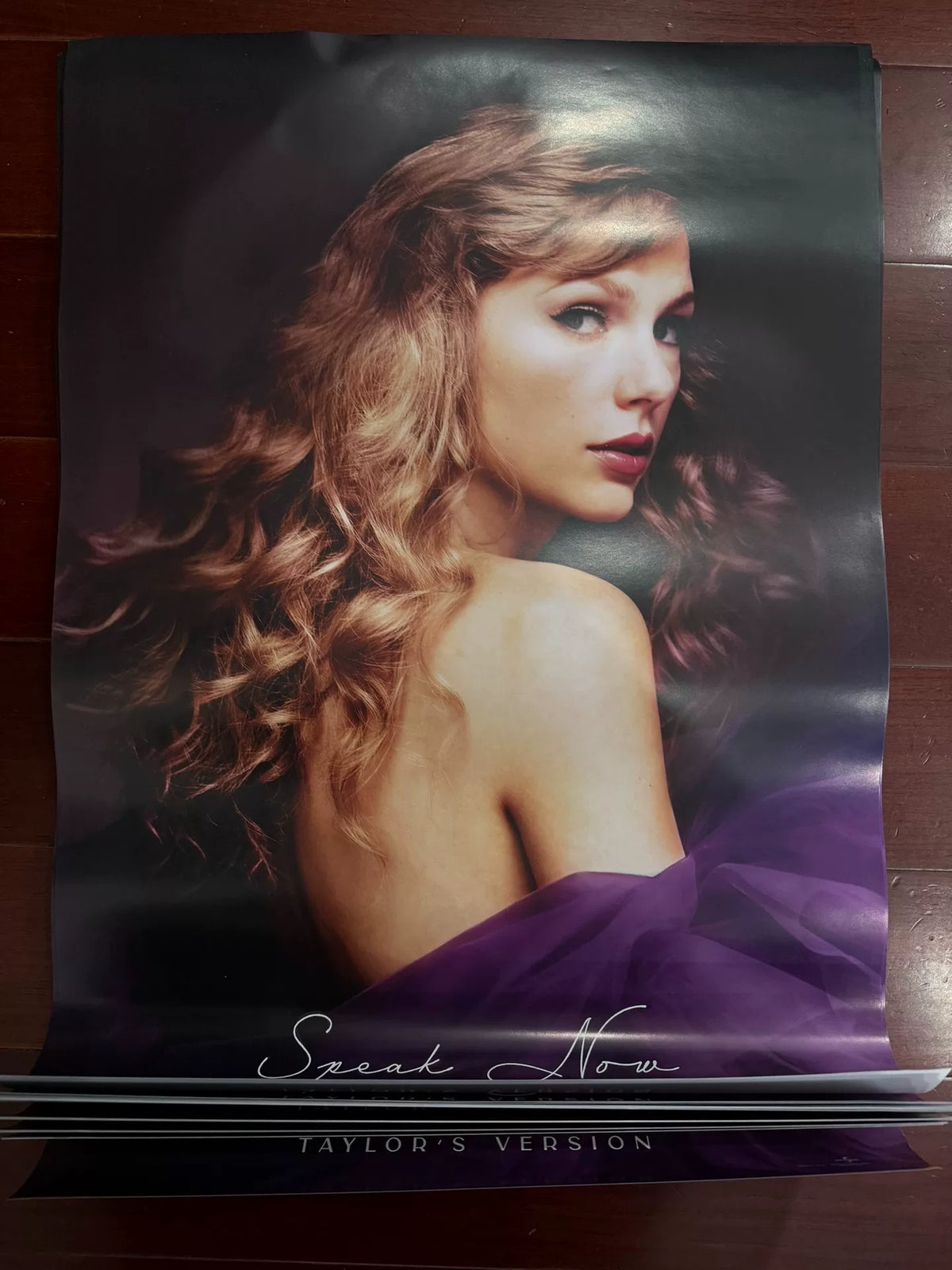 Taylor Swift – Speak Now – Taiwan Promotional Poster